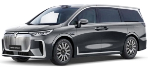 Voyah Dream (2021->)