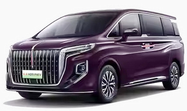 Автомобильные коврики EVA для Hongqi HQ9 (2022->)
